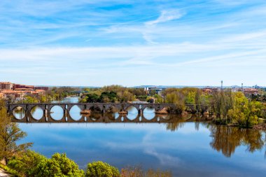 Douro Nehri ve Puente de Piedra 'nın manzarası, Stone Köprüsü, su üzerinde yansımaları var. Zamora, İspanya