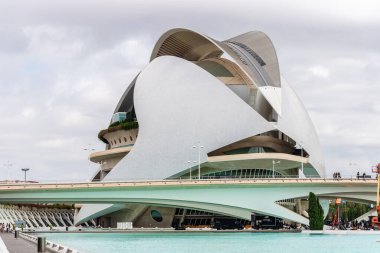 Valencia, İspanya - 29 Temmuz 2023: Valensiya 'daki Palau de les Arts Reina Sofia Sanat ve Bilim Şehri manzarası. Ünlü İspanyol mimar Santiago Calatrava tarafından tasarlandı.