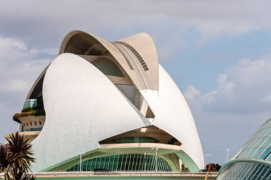 Valencia, İspanya - 30 Temmuz 2023: Valensiya 'daki Palau de les Arts Reina Sofia Sanat ve Bilim Şehri manzarası. Ünlü İspanyol mimar Santiago Calatrava tarafından tasarlandı.