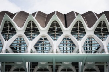 Valencia, İspanya - 30 Temmuz 2023: Prince Philip Sanat ve Bilim Müzesi. Bir balinanın iskeletine benzer ve ünlü İspanyol mimar Santiago Calatarava tarafından tasarlanmıştır.
