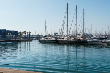 Alicante, İspanya - 13 Ekim 2023: Güneşli bir günde Alicante limanında demirli yatlar.