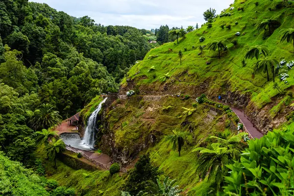 Водопад Parque Natural Ribeira Dos Caldeiroes Острове Сан Мигель Азорские Лицензионные Стоковые Фото