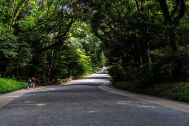 Tokyo, Japonya - 4 Ağustos 2024: Meiji Tapınağı yemyeşil bir ormanın içine yerleştirilmiş bir Shinto tapınağı.