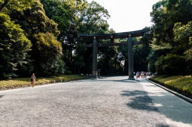 Tokyo, Japonya - 4 Ağustos 2024: Meiji Tapınağı yemyeşil bir ormanın içine yerleştirilmiş bir Shinto tapınağı.