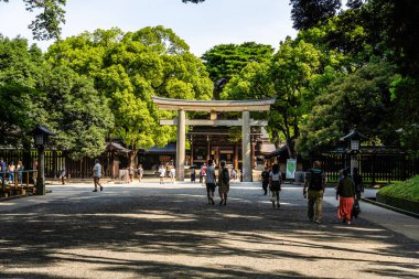 Tokyo, Japonya - 4 Ağustos 2024: Meiji Tapınağı yemyeşil bir ormanın içine yerleştirilmiş bir Shinto tapınağı.