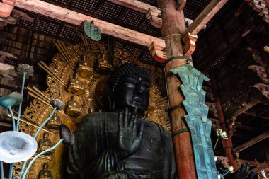 Nara, Japonya - 14 Ağustos 2024: Todai-ji Tapınağı, Nara. Budist tapınağı. İç görünüm