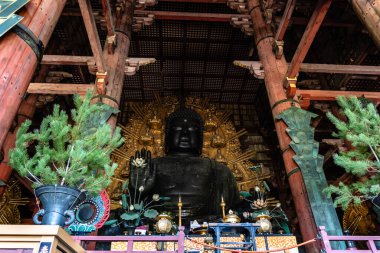 Nara, Japonya - 14 Ağustos 2024: Todai-ji Tapınağı, Nara. Budist tapınağı. İç görünüm