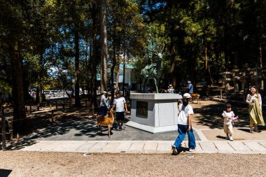 Nara, Japonya - 14 Ağustos 2024: Nara 'da Kasuga-taisha Mabedi. Geyik heykeli