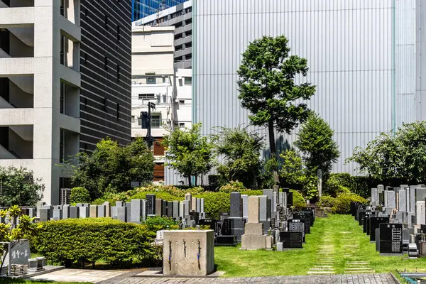 Tokyo, Japonya - 4 Ağustos 2024: Huzurlu bir mezarlık Shibuya, Tokyo 'nun göbeğinde, heybetli kentsel manzarayla harmanlanmış..