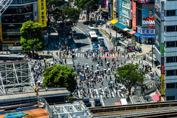 Tokyo, Japonya - 4 Ağustos 2024: Yüksek açılı bir görüntü, Shibuya, Tokyo, Japonya 'dan yayalar ve parlak bir gökyüzü altında hareketli ikonik bir geçiş yakaladı..