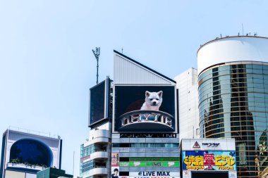 Tokyo, Japonya - 4 Ağustos 2024: Shibuya 'da aydınlık bir gün açık gökyüzü altında kentsel reklam panolarını ve yüksek binaları hareketlendiren sergiler.