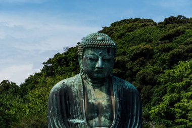 Kamakura, Japonya - 5 Ağustos 2024: Kamakura Daibutsu olarak da bilinen Büyük Buda, Kotoku-in Tapınağı 'ndaki yemyeşil yemyeşil bir heykel olarak duruyor..