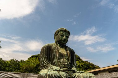 Kamakura, Japonya - 5 Ağustos 2024: Japonya 'nın Kamakura kentindeki ikonik Büyük Buda heykelinin yakın görüntüsü, güzel mavi bir gökyüzüne ve yemyeşil bir alana karşı kurulmuştur..