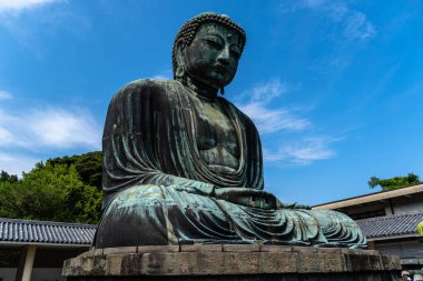 Kamakura, Japonya - 5 Ağustos 2024: Japonya 'nın Kamakura kentindeki Kotoku-in Tapınağı' nda arkasında ağaçlar ve binalar bulunan mavi gökyüzüne karşı bronz bir Büyük Buda heykeli.