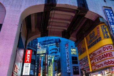 Tokyo, Japonya - 6 Ağustos 2024: Tokyo 'daki eşsiz ticaret ve otaku kültürünün karışımını gösteren canlı Akihabaras atmosferini gösteren bir gece sahnesi.
