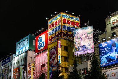 Tokyo, Japonya - 6 Ağustos 2024: Tokyo, Japonya 'nın canlı otaku kültürünü sergileyen Akihabara' da parlak, renkli reklam panoları geceyi aydınlatıyor.