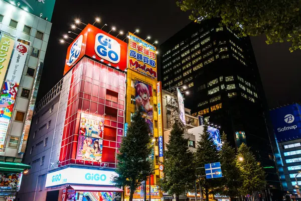 Tokyo, Japonya - 6 Ağustos 2024: Gigo atari salonu, anime reklam panoları ve Tokyos otaku kültürünün canlı atmosferinin yer aldığı Vibrant Akihabara bölgesi.