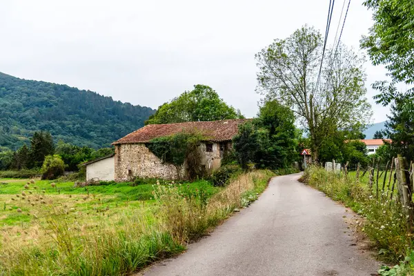 İspanya 'nın Cantabria şehrinde bulutlu bir günde, Saja Nehri vadisi boyunca taştan bir bina ve yol manzarası..