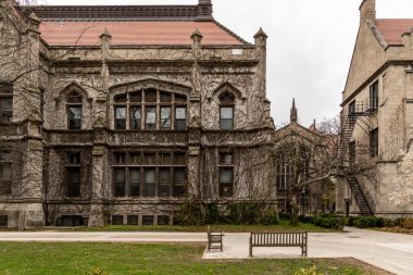 Chicago, ABD - 13 Nisan 2025: Şikago Üniversitesi 'nin ikonik kampüsünün dış görünüşü, tarihi mimarisini ve sarmaşık kaplı duvarlarını gözler önüne seriyor.