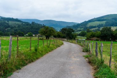 İspanya 'nın Cantabria kentindeki Saja Nehri vadisinin manzarasında, bulutlu bir günde yeşil tepeler ve sakin bir köy yolu yer alıyor..