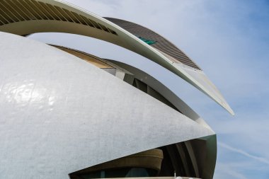 Valencia, İspanya - 15 Mayıs 2025 Valencia Sanat ve Bilim Şehri 'ne bakın. Ünlü İspanyol mimar Santiago Calatrava tarafından tasarlandı.