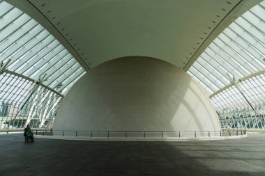 Valencia, İspanya - 15 Mayıs 2025 Valencia Sanat ve Bilim Şehri 'ne bakın. Ünlü İspanyol mimar Santiago Calatrava tarafından tasarlandı.