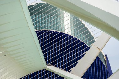 Valencia, İspanya - 15 Mayıs 2025 Valencia Sanat ve Bilim Şehri 'ne bakın. Ünlü İspanyol mimar Santiago Calatrava tarafından tasarlandı.