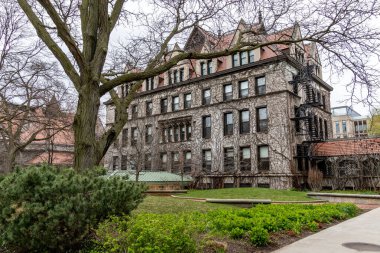 Chicago, ABD - 13 Nisan 2025: Chicago Üniversitesi 'nde ağaçlar ve yeşillikler çerçeveli sarmaşık kaplı bir bina bulutlu bir günde ayakta duruyor.