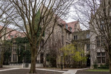 Chicago, ABD - 13 Nisan 2025: Bir mimari çekimde Chicago Üniversitesi 'nin sarmaşık kaplı taş binaları ön plandaki ağaçlar yer almaktadır. Fotoğraf huzurlu ve kolej havasını yakalıyor..
