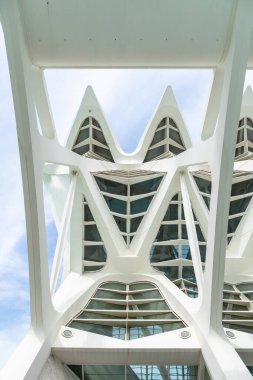 Valencia, İspanya - 15 Mayıs 2025 Valencia Sanat ve Bilim Şehri 'ne bakın. Ünlü İspanyol mimar Santiago Calatrava tarafından tasarlandı.
