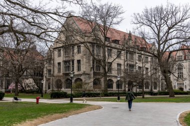 Chicago, ABD - 13 Nisan 2025: Şikago Üniversitesi kampüsündeki ağaçların çerçevelediği tarihi bir binanın dış görünüşü. Bir insan patikada yürür.
