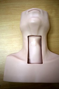 Krikotirotomi derinin bir bölümüdür. Hayati tehlikesi olan bazı durumlarda solunum yolunun patentini almak için halka şeklinde bir zar kullanılır.