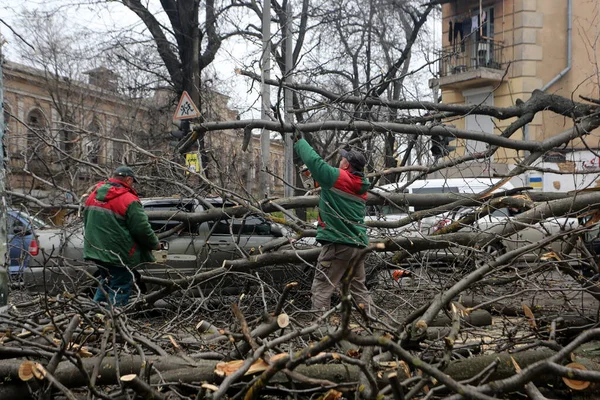 Odessa Ucrânia Abril 2023 Árvore Caiu Sobre Carro Devido Vento — Fotografia de Stock