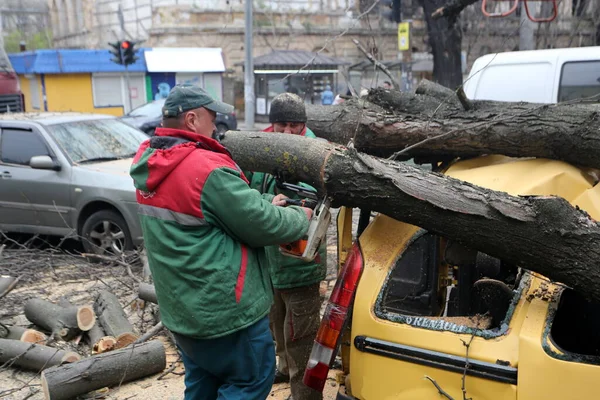 Odessa Ucrania28 Abril 2023 Árbol Cayó Sobre Coche Debido Fuerte — Foto de Stock