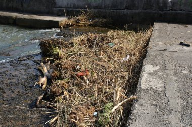 Ukrayna 'nın Odessa kentindeki Karadeniz sahillerine enkaz parçaları ulaştı. Kakhovka Hidroelektrik Santrali 'nin patlamasının yol açtığı çevre felaketi