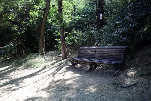 Old Wooden Bench Park — Stock Photo, Image