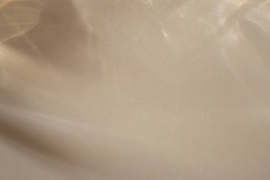 Doğal, şeffaf bir deseni kaplayan bir ışık efekti - delici ışınlar, duvardaki gölgeler, yansımalar, ışıltı, parlaklık, yeşillik gölgeleri. Reklam, podyum, vitrin, dekorasyon için bej rengi arkaplan.