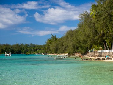 Tahiti adası Palm Beach, Fransız Polinezyası