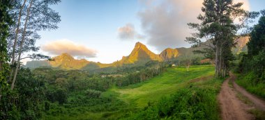 Tahiti adası doğa manzarası, Fransız Polinezyası