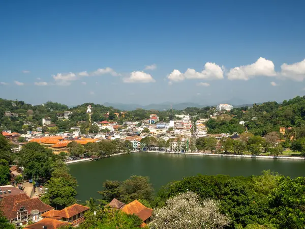 stock image Sri Lanka, Ceylon Island : Local landscape with rice field natural panorama