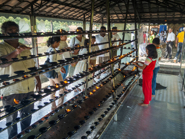 Шри-Ланка, остров Цейлон: Местный пейзаж с рисовым полем