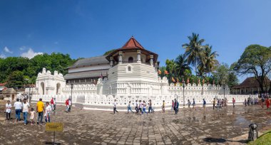 Sri Lanka, Ceylon Island : Local landscape with rice field natural panorama clipart