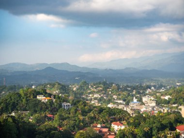 Sri Lanka, Seylan Adası: Pirinç tarlalı doğal manzara