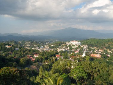 Sri Lanka, Seylan Adası: Pirinç tarlalı doğal manzara