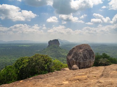 Sri Lanka, Seylan Adası: Pirinç tarlalı doğal manzara