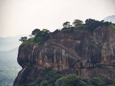 Sri Lanka, Seylan Adası: Pirinç tarlalı doğal manzara