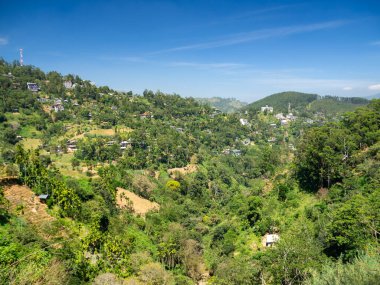 Sri Lanka, Seylan Adası: Pirinç tarlalı doğal manzara