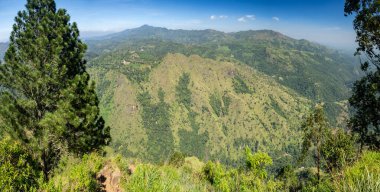 Sri Lanka, Seylan Adası: Pirinç tarlalı doğal manzara