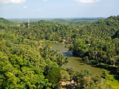 Sri Lanka, Seylan Adası: Pirinç tarlalı doğal manzara