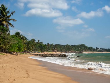 Sri Lanka, Seylan Adası: Pirinç tarlalı doğal manzara